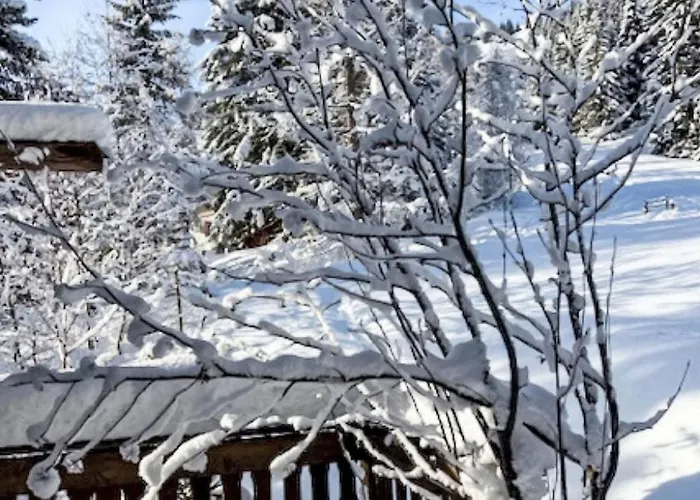 Rodas Soura 5 By Interhome Parsonz